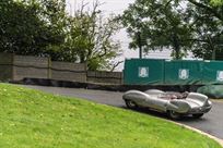 for-auction-1956-lotus-eleven-le-mans