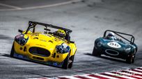 shelby-cobra-race-car