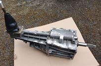 borg-warner-t5-glebe-straight-cut-dog-racing