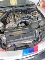 bmw-m3-e46-lady-p