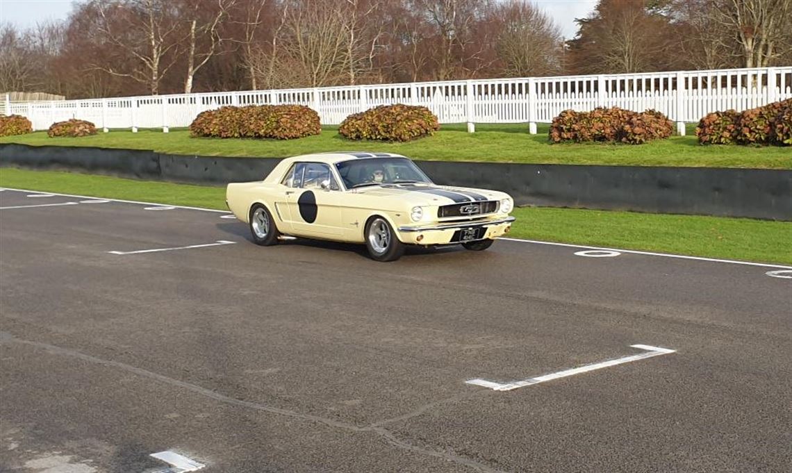 fia-ford-mustang-notchback