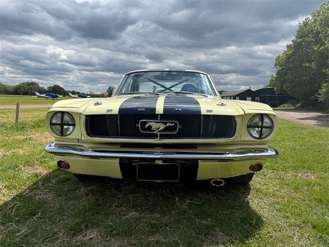 fia-ford-mustang-notchback