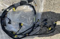 f-renault-wiring-loom