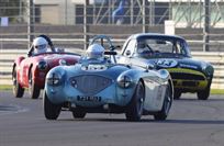 austin-healey-100