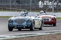 austin-healey-100