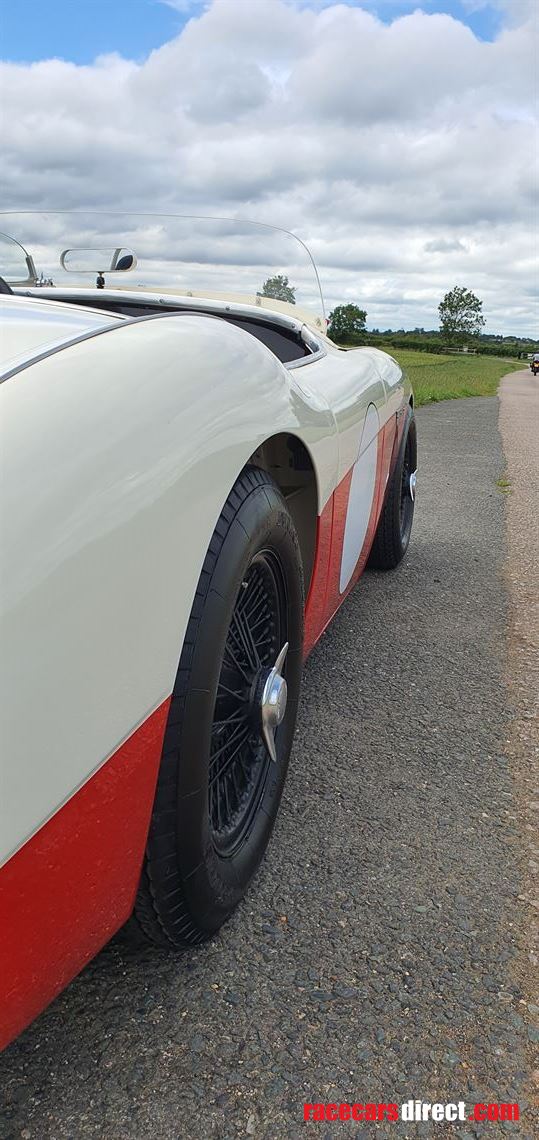 austin-healey-1004