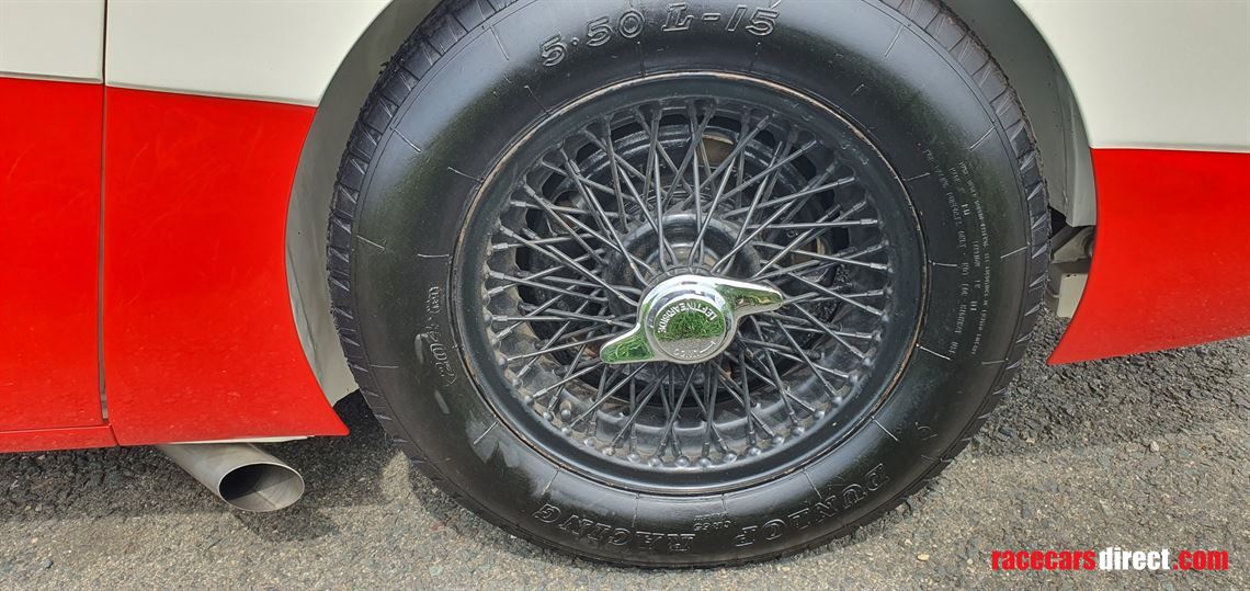 austin-healey-1004