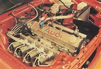 1981-audi-coupe-b2-gt-drm-gruppe-2