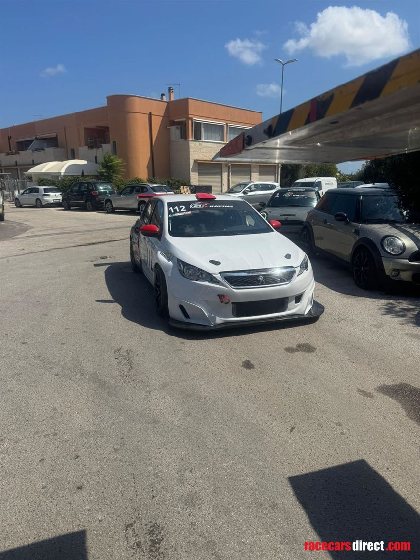 peugeot-308-racing-cup-16tb