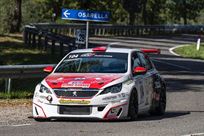 peugeot-308-racing-cup-16tb