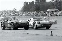 1964-shelby-cobra-independent-comp