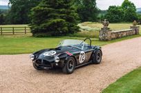 1964-shelby-cobra-independent-comp