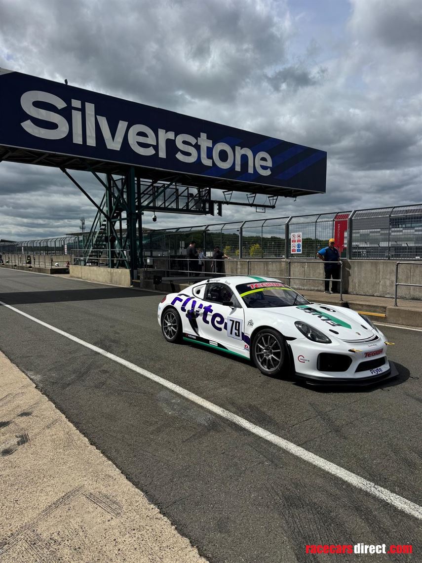 porsche-981-gt4-race-car