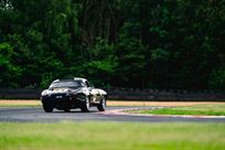 jaguar-e-type-semi-lightweight