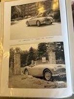 austin-healey-1006-ex-works-racecar