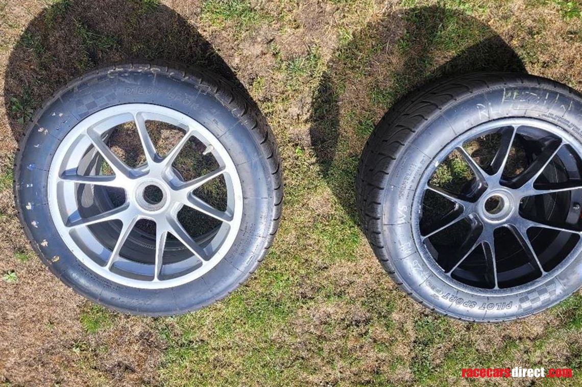 991-cup-rims-for-backside