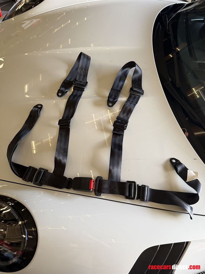 4-point-seat-belts