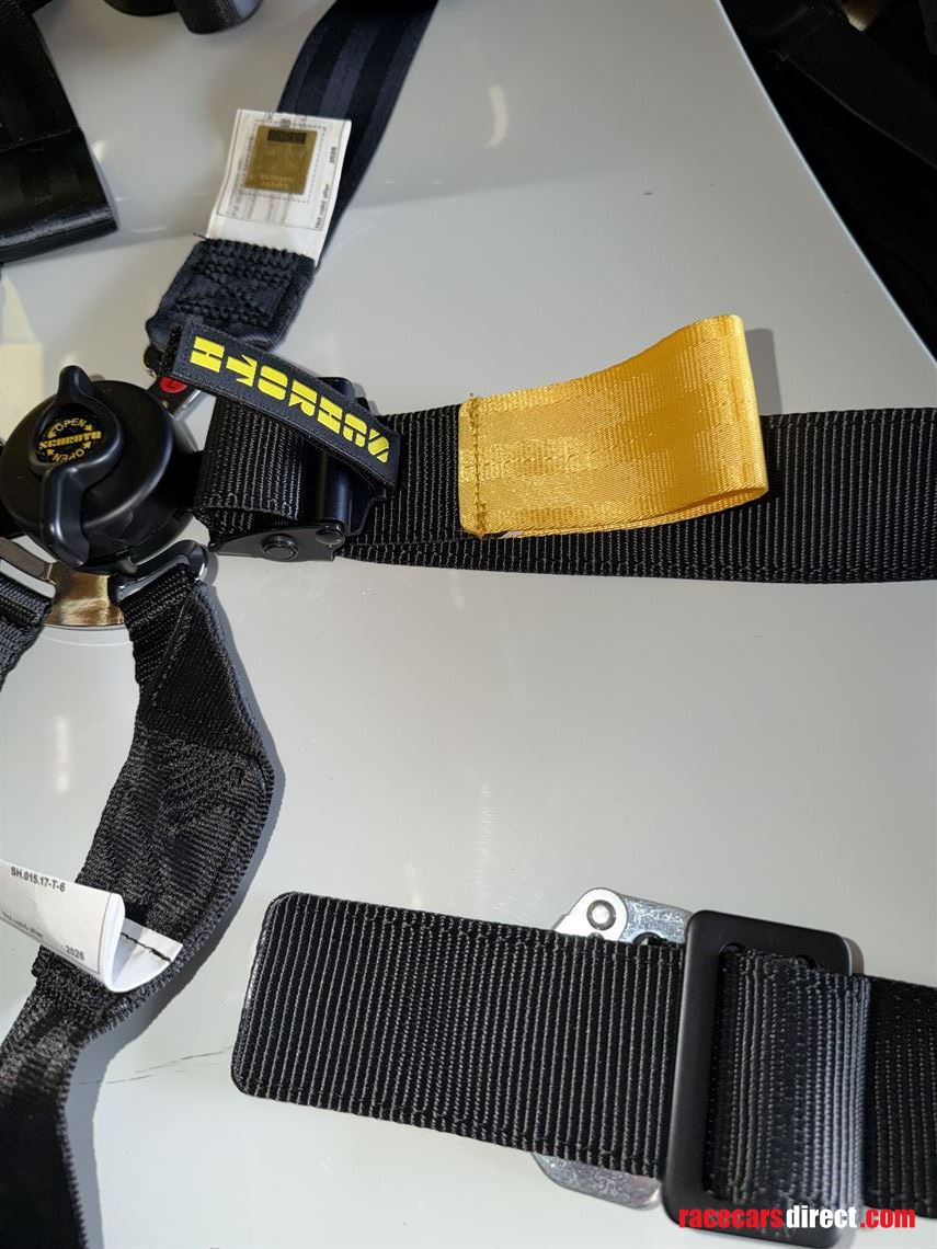 schroth-2-endurance-harness-set