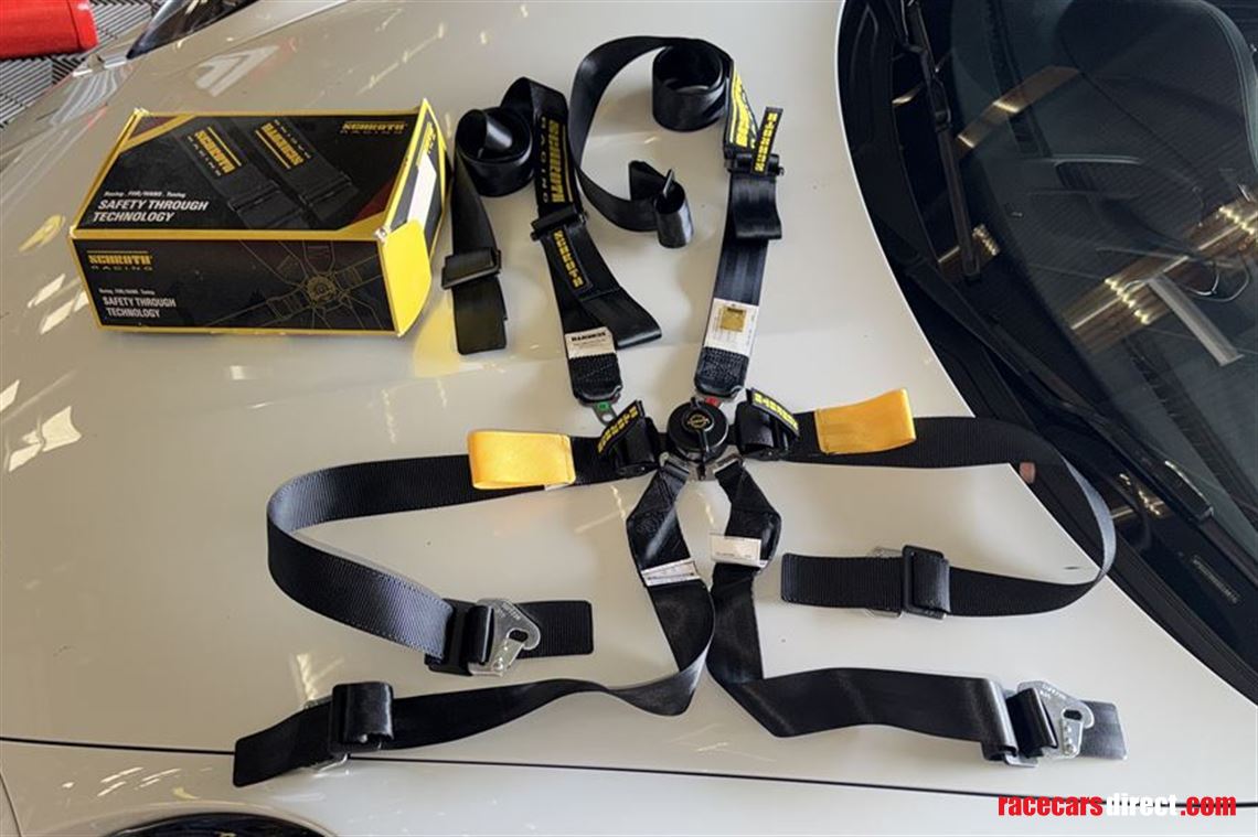 schroth-2-endurance-harness-set