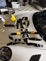 schroth-2-endurance-harness-set