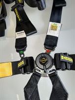 schroth-2-endurance-harness-set