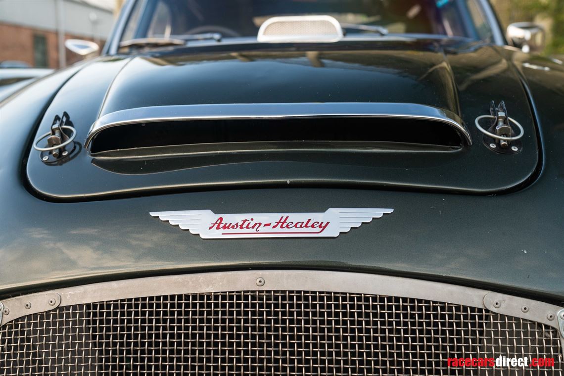 austin-healey-3000-fia-race-car