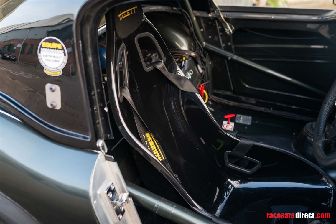 austin-healey-3000-fia-race-car
