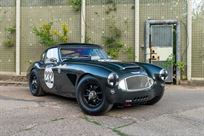 austin-healey-3000-fia-race-car