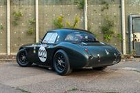 austin-healey-3000-fia-race-car