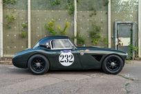austin-healey-3000-fia-race-car