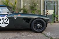 austin-healey-3000-fia-race-car