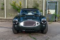 austin-healey-3000-fia-race-car