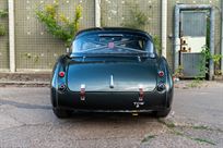 austin-healey-3000-fia-race-car