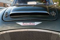 austin-healey-3000-fia-race-car