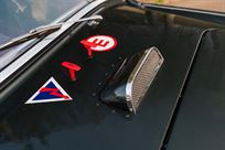 austin-healey-3000-fia-race-car