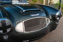 austin-healey-3000-fia-race-car