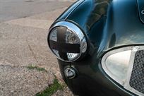 austin-healey-3000-fia-race-car