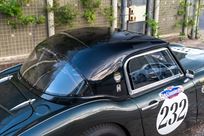 austin-healey-3000-fia-race-car