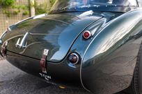 austin-healey-3000-fia-race-car