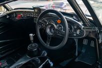 austin-healey-3000-fia-race-car