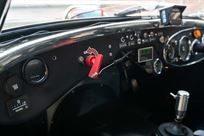 austin-healey-3000-fia-race-car