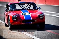 fia-tvr-grantura-for-sale