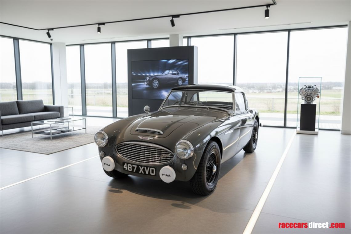 competition-prepared-healey-3000