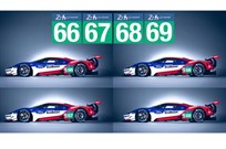 Ford Motorsport Team Lanyard Neck Strap Ticket/Pass Holder WEC Ford GT Race Team