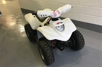 100cc-pit-quad