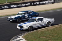65-mustang-fastback-historic-race-car-new-zea