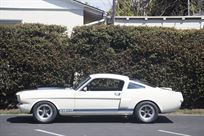 racecar-from-new---1966-shelby-gt350