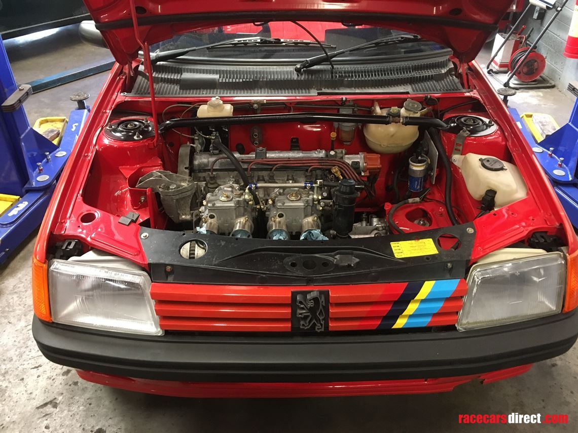 Racecarsdirect.com - Peugeot 205 rally car (new build)
